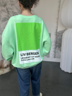 Sweat Overisze Carré Pantone